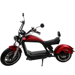 Luqi HL6.0 Europe Warehouse 2 Seat Mobility Scooter Different Models Of 1500w 2000w Smart Electric Scooter Citycoco