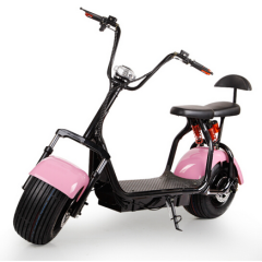 Good Quality Foldable Electric Scooter Parts Fat Tire 2000W Nzita Self Balancing Electric Motorcycle