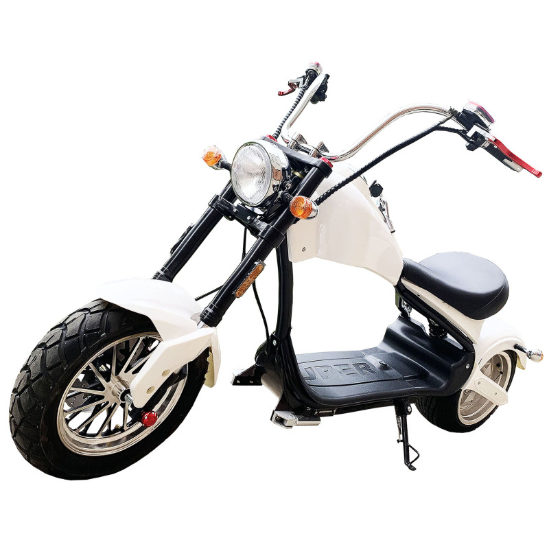 Good Quality Foldable Electric Scooter Parts Fat Tire 2000W Nzita Self Balancing Electric Motorcycle