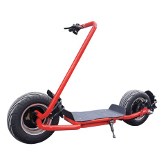 Powerful 2000W Adult EEC Scooter Electric Motorcycle with Removable Lithium Battery Citycoco Off Road Scooter