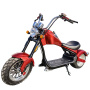 Powerful 2000W Adult EEC Scooter Electric Motorcycle with Removable Lithium Battery Citycoco  Off Road Scooter