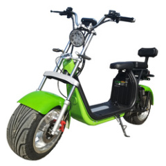 Powerful 2000W Adult EEC Scooter Electric Motorcycle with Removable Lithium Battery Citycoco Off Road Scooter