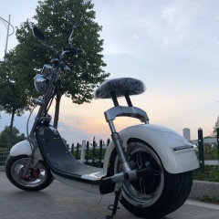 European Warehouse New arrival motorbike, 2-wheel electric motorcycle,fashion scooter 1500W 60V 20AH.