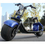 800W Brushless Adult Electric Scooter, 2 Wheels Electric Motorcycle