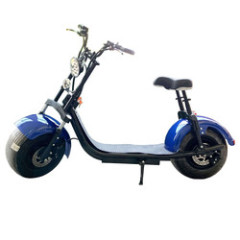 800W Brushless Adult Electric Scooter, 2 Wheels Electric Motorcycle