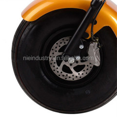 800W Brushless Adult Electric Scooter, 2 Wheels Electric Motorcycle