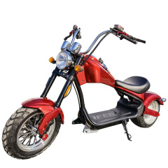 1000W 60v two big wheels cool Vehicle fat tire coco city electric scooter