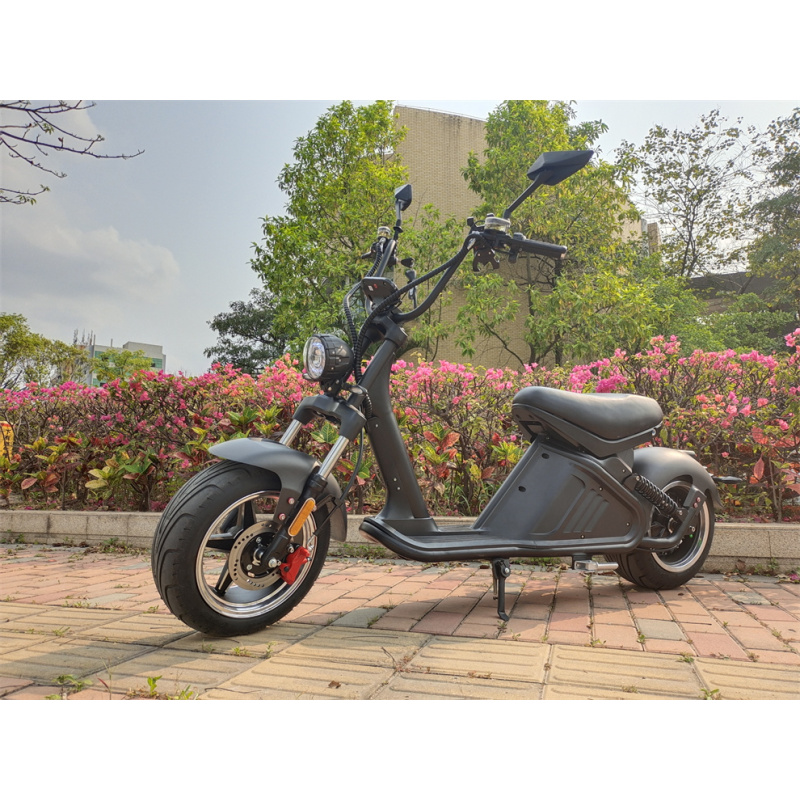 Nzita Adult Electric Scooter M2 Style Scooter Foldable Electric Motorcycle With App Double Suspension