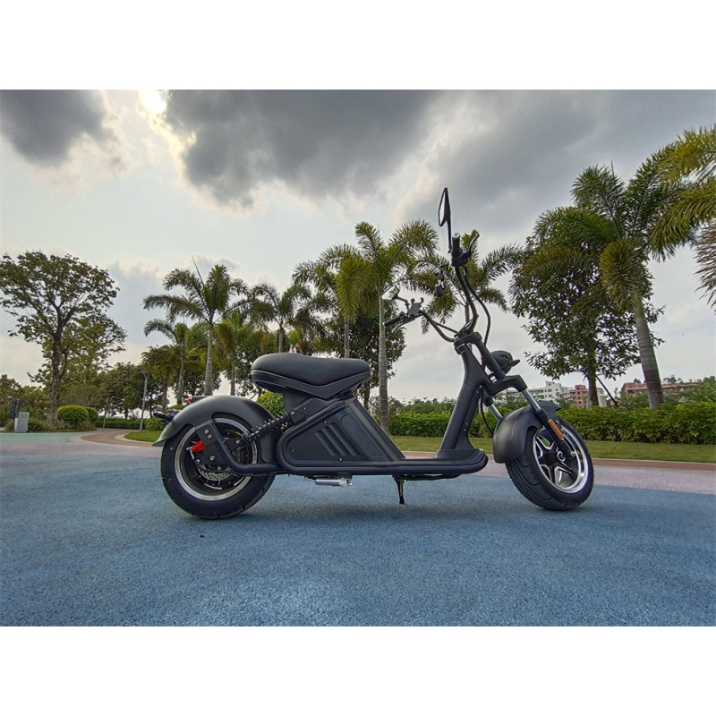 Nzita Adult Electric Scooter M2 Style Scooter Foldable Electric Motorcycle With App Double Suspension