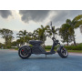Nzita Adult Electric Scooter M2 Style Scooter Foldable Electric Motorcycle With App Double Suspension