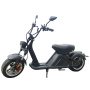 Nzita Adult Electric Scooter M2 Style Scooter Foldable Electric Motorcycle With App Double Suspension