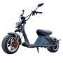Nzita Adult Electric Scooter M2 Style Scooter Foldable Electric Motorcycle With App Double Suspension