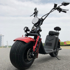 EEC COC citycoco style 1000w 1500w high speed electric scooter/5000w electric motorcycle