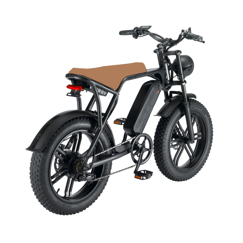 Convenient Electric Bicycle Modern Style 750w Motor Power Electric Bicycle