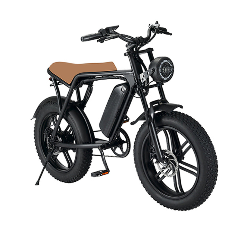 Convenient Electric Bicycle Modern Style 750w Motor Power Electric Bicycle