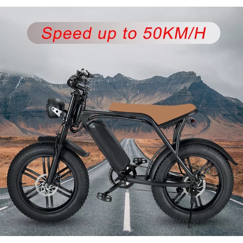 Convenient Electric Bicycle Modern Style 750w Motor Power Electric Bicycle