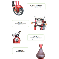 Beatiful City Electric Bike E Bicycle Electrical Scooter Motorcycle Fat Tire Bike Scooter with Rear Rack Li-Battery