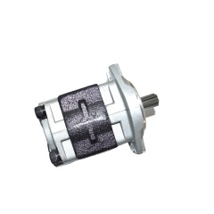 Forklift Gear Pump CBHZ for GOODSENSE Forklift FY20-35-GQ1 GQ491 Engine with OEM A30S4-20000