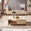 (A-TV cabinet + side cabinet + coffee table)-LS02ZHV1MA002
