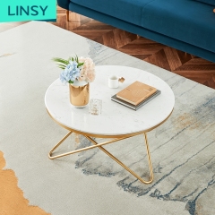 Linsy France Design Sofa Short Coffee Tables Modern Stainless Steel Round Shape Metal Luxury Gold Tea Table Set 348T