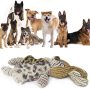 3 Pack Dog Squeaky Toys Cute No Stuffing chew Plush Dog Toys with Rope Knots and Crinkle Paper