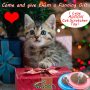 Training Exercise Mouse Play Interactive Cat Scratcher Toy with Ball For Pet