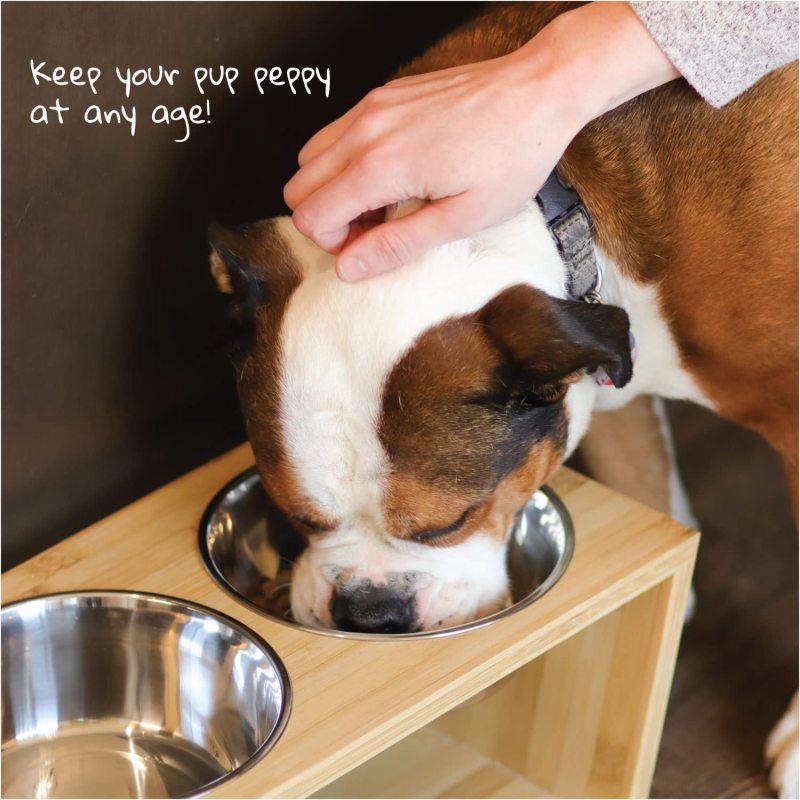 Raised Dog Bowl Bamboo Pet Feeder Four Stainless Steel Bowls