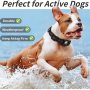Apple Air Tag Dog Adjustable Collar  Dog Collar tracker Collar for Small Medium Large Dogs