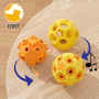 Dog Squeaky Toys Natural Rubber Chew Toys for Pets