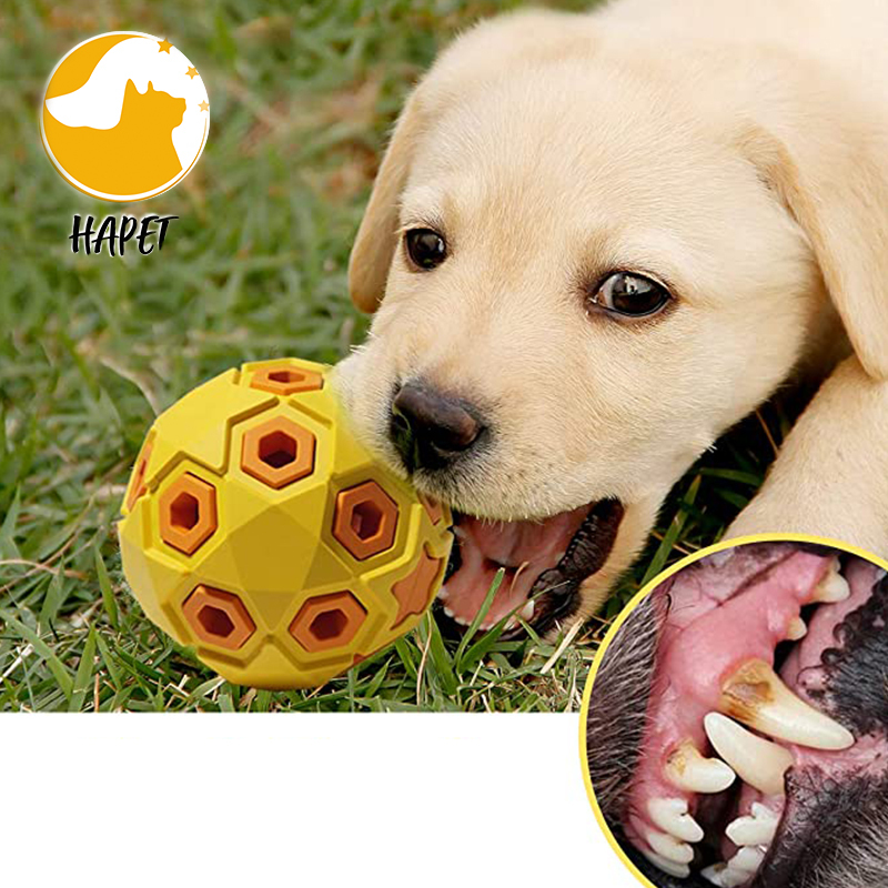 Dog Squeaky Toys Natural Rubber Chew Toys for Pets