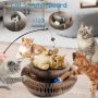 Cat Scratching Board,Interactive  for Indoor  Foldable Deformable  Ring Bell Ball Catnip Toys Durable