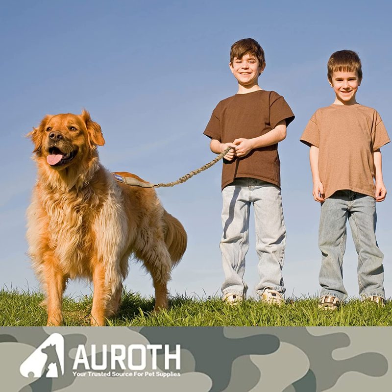Shock Absorption Dog Training Leash for Bungee Medium Large Breed Dogs