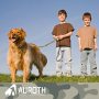 Shock Absorption Dog Training Leash for Bungee Medium Large Breed Dogs