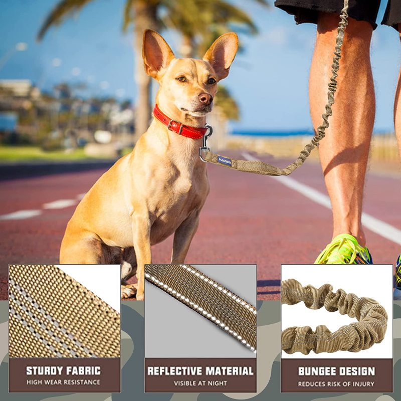Shock Absorption Dog Training Leash for Bungee Medium Large Breed Dogs