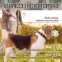 Shock Absorption Dog Training Leash for Bungee Medium Large Breed Dogs