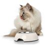 Stainless steel round bowl Multicolor food bowl for dogs and cats