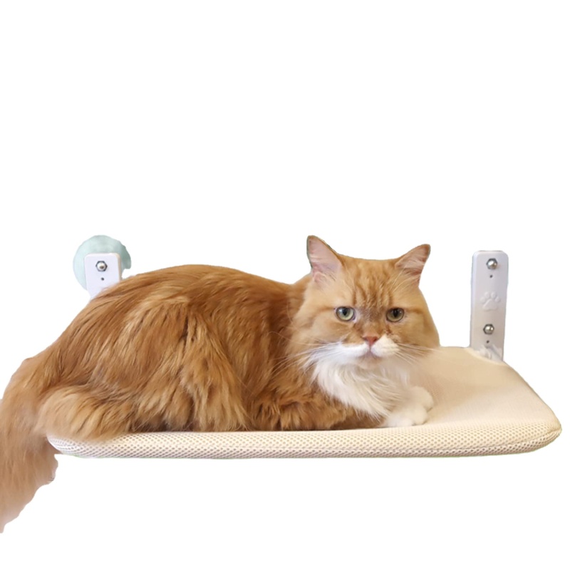 Cat Window Perch Foldable Cat Hammock Saving Space Cat Bed All Around 360 Sunbath and Lower Support Safety Iron