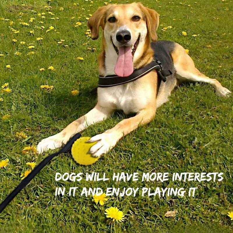 Dog Chew Ball on a Rope Natural Interactive Rubber Ball for Fetch Throw and Tug of War Ball Pet