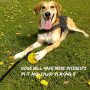 Dog Chew Ball on a Rope Natural Interactive Rubber Ball for Fetch Throw and Tug of War Ball Pet