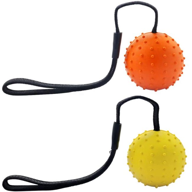 Dog Chew Ball on a Rope Natural Interactive Rubber Ball for Fetch Throw and Tug of War Ball Pet