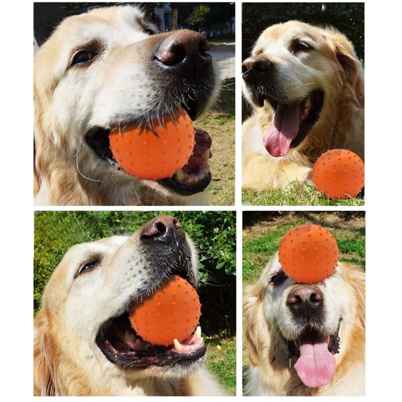 Dog Chew Ball on a Rope Natural Interactive Rubber Ball for Fetch Throw and Tug of War Ball Pet