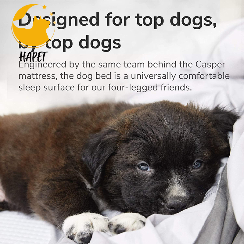 Washable Square Pet Bed Pet Indoor Sleep Bed Soft Pet Bed for Dogs and Cats