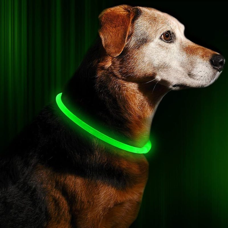 LED Dog Collar USB Rechargeable Glowing pet Dog Collar for Night Safety Fashion Light up Collar for Small Medium Large Dogs