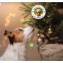 Picture Frame Dog Memorial Christmas Ornaments  Forever in Our Hearts Pet Memorial Ornaments for Christmas Tree, Pet Memorial