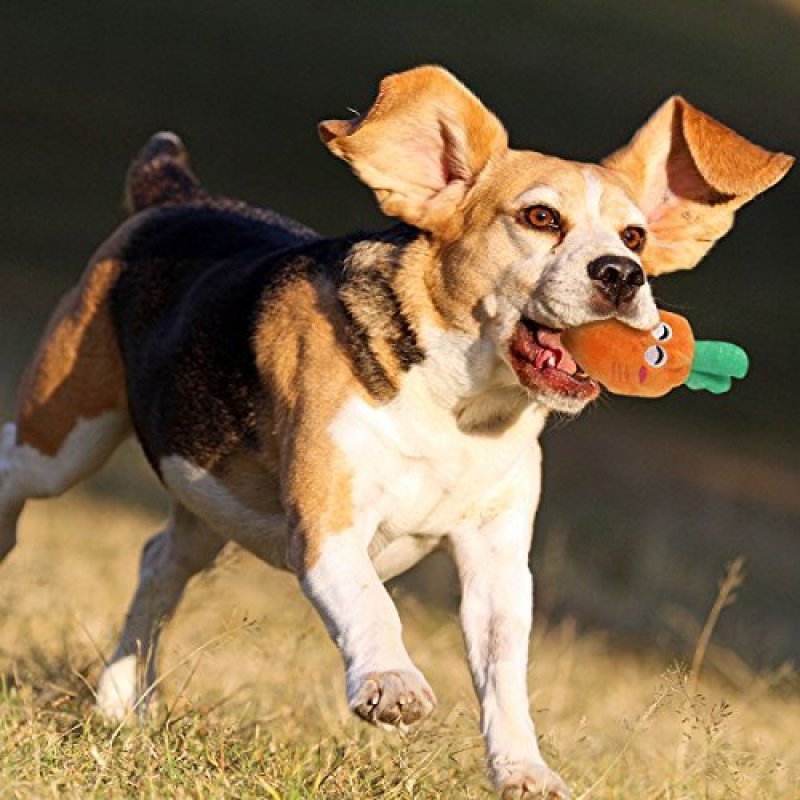 Sell Well New Type Squeaky Dog Toys for Small Dogs Fruits and Vegetables Plush Puppy Dog Toys