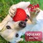 Dog Balls Squeaky Toys for Large Dogs Dog Toys for Aggressive Chewers Rubber Pet Toys
