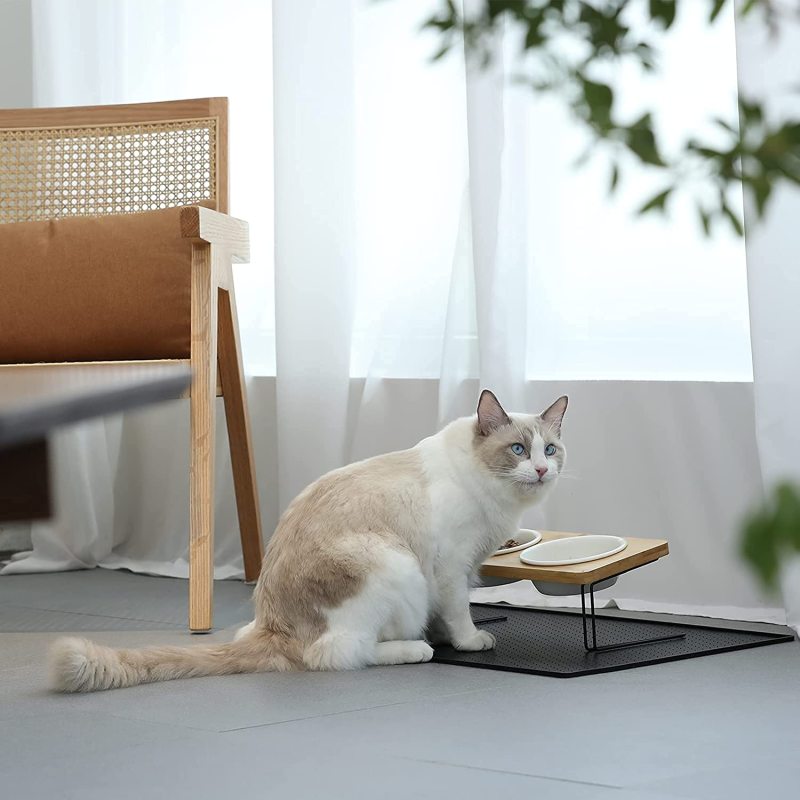 Elevated Cat Ceramic Bowls 15° Tilted Raised Food Feeding Dishes Solid Wood Water Stand Feeder Set
