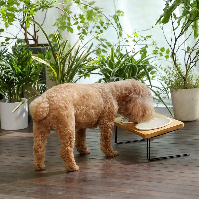 Elevated Cat Ceramic Bowls 15° Tilted Raised Food Feeding Dishes Solid Wood Water Stand Feeder Set