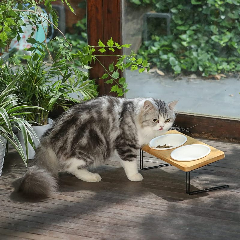 Elevated Cat Ceramic Bowls 15° Tilted Raised Food Feeding Dishes Solid Wood Water Stand Feeder Set
