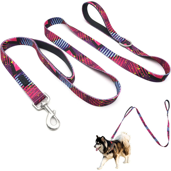Soft Padded Handles for Safe Control Cute Printed Leash for Large Medium and Small Dogs